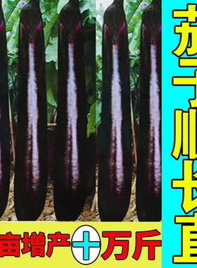 茄子专用农药保花保果拉直拉长着色增产抗病茄子生长素复合专用肥