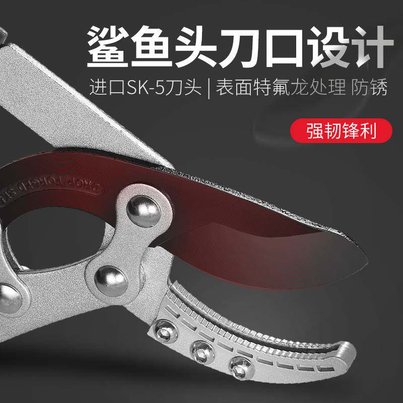 剪树枝专用剪刀果树剪枝修枝剪修剪修粗枝剪加长园林大剪子枝剪图片