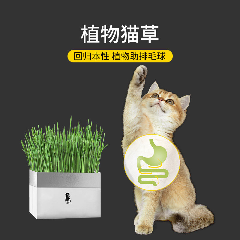猫草种子盆栽土培种植套装幼猫草片小麦草猫薄荷零食猫咪零食芭芭