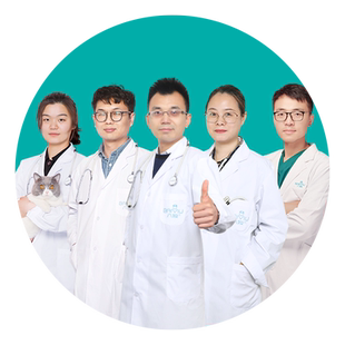 八牧宠物医生在线咨询狗狗猫咪兽医线上问诊看病网络药店医院诊所