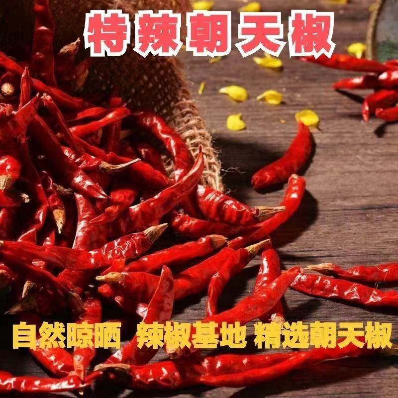 特辣特香朝天椒干辣椒河南朝天椒辣椒面特辣辣椒段干红辣椒段500g