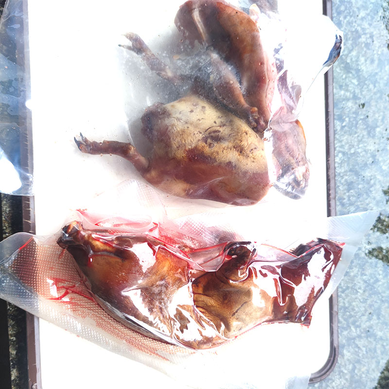 广西豚鼠商品黑豚鼠商品荷兰猪商品