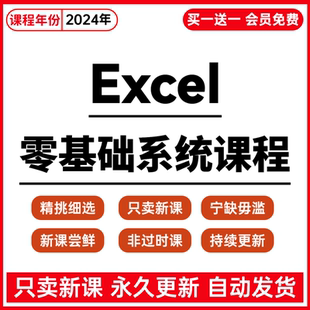 2024新版Excel函数公式表格制作教程VBA编程office办公软件课程