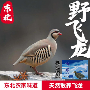 东北飞龙礼盒美味鹧鸪鸟石鸡嘎嘎鸡新鲜带毛发货时令滋补老幼孕妇