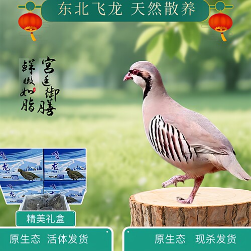 飞龙鹧鸪嘎嘎鸡精品飞龙养殖现杀发货时令滋补老幼孕妇顺丰包邮