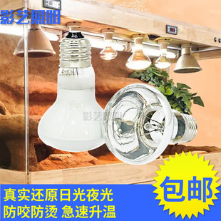 E27螺口爬行两栖动物灯泡宠物加热灯乌龟蜥蜴太阳灯爬虫取暖保温