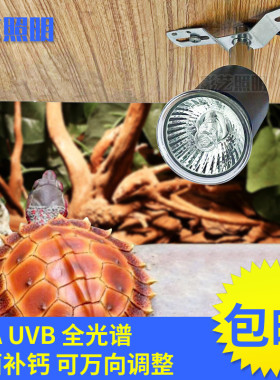 E27万向灯头灯座乌龟晒背灯全光谱UVA UVB爬宠蜥蜴陶瓷爬虫补光