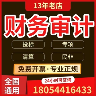 审计咨询公司年度财务报表专项资产评估报告验资离任清算投标审计