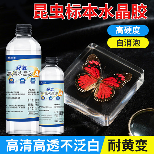 昆虫植物标本制作高清通透
