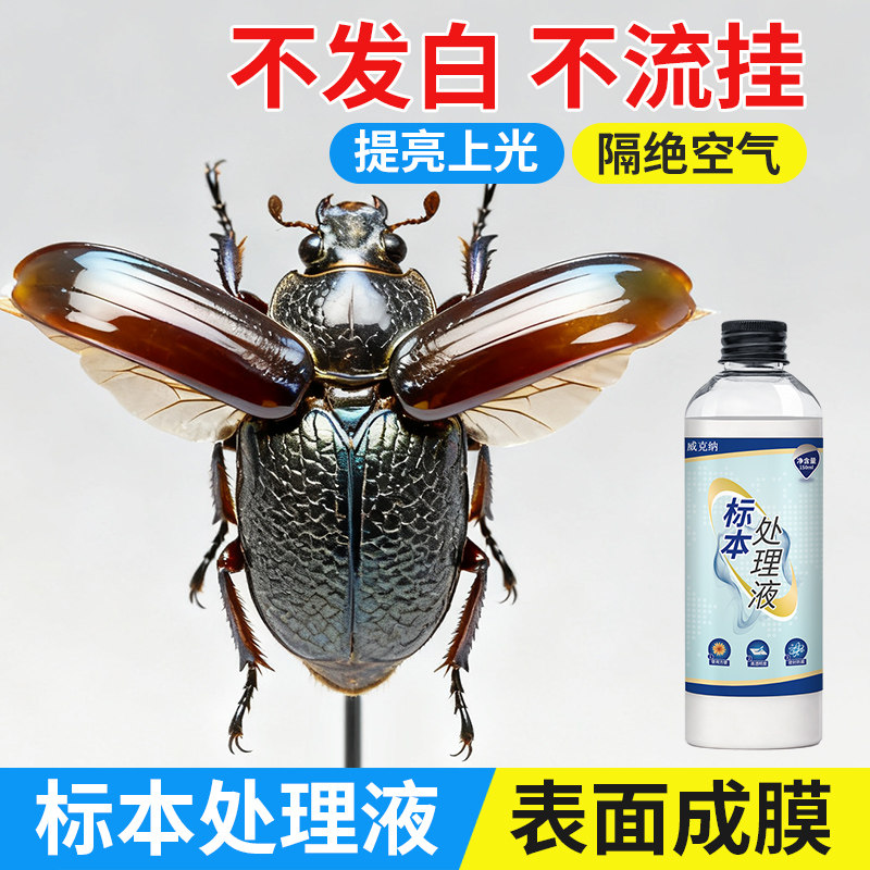 昆虫标本防腐剂溶液防腐水不用掏肉分解油脂密封防水耐腐蚀处理液,基础建材,密封胶,淘宝优惠券,粉丝福利购,淘宝优惠卷