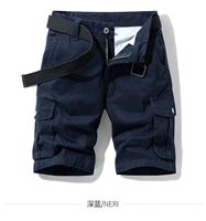 R27053 Тибетский синий