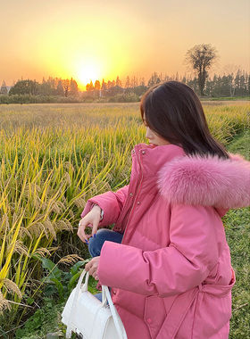 竹依依短款粉色90白鹅绒羽绒服女冬加厚保暖大毛领外套宽松巨显白