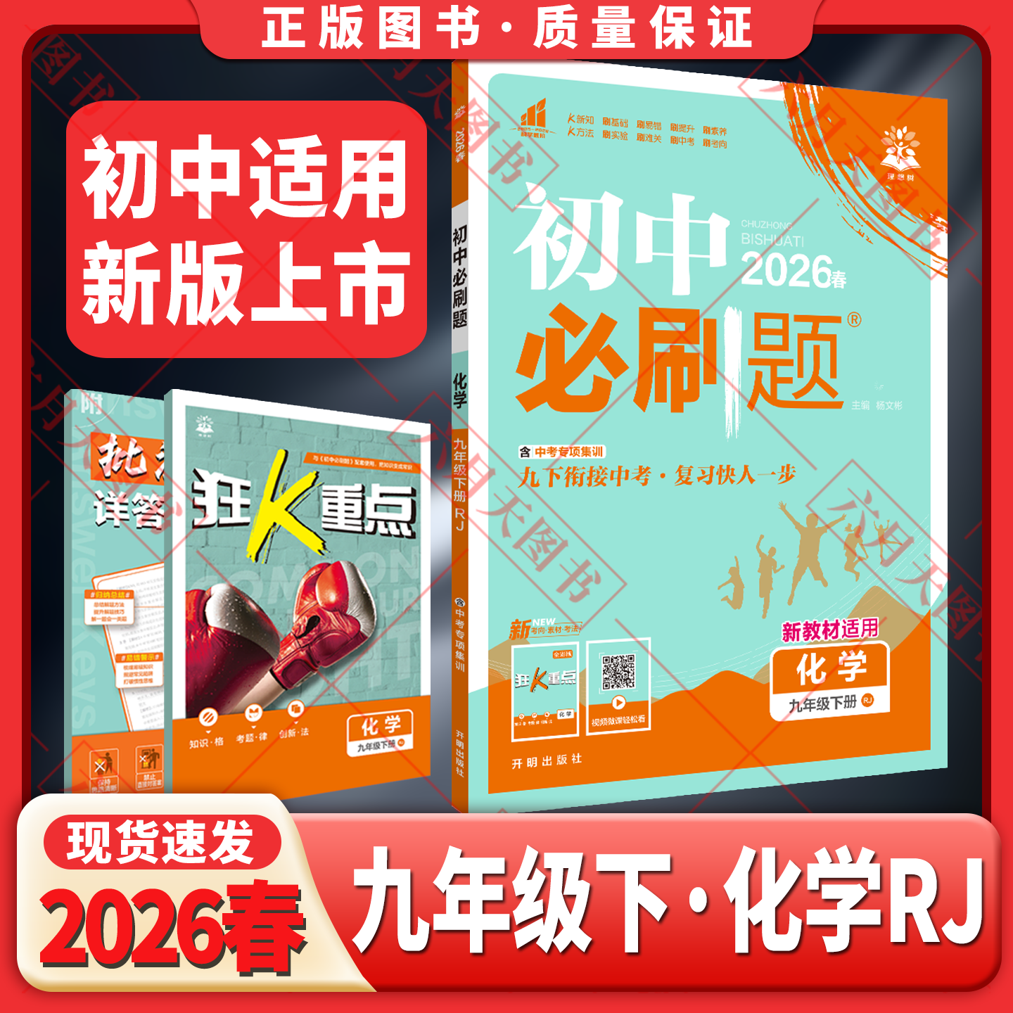 初中必刷题九年级下册化学RJ