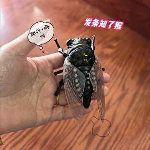 爬行模拟知了猴吱吱响儿童小礼物仿真昆虫模型桌面装饰摆件可动