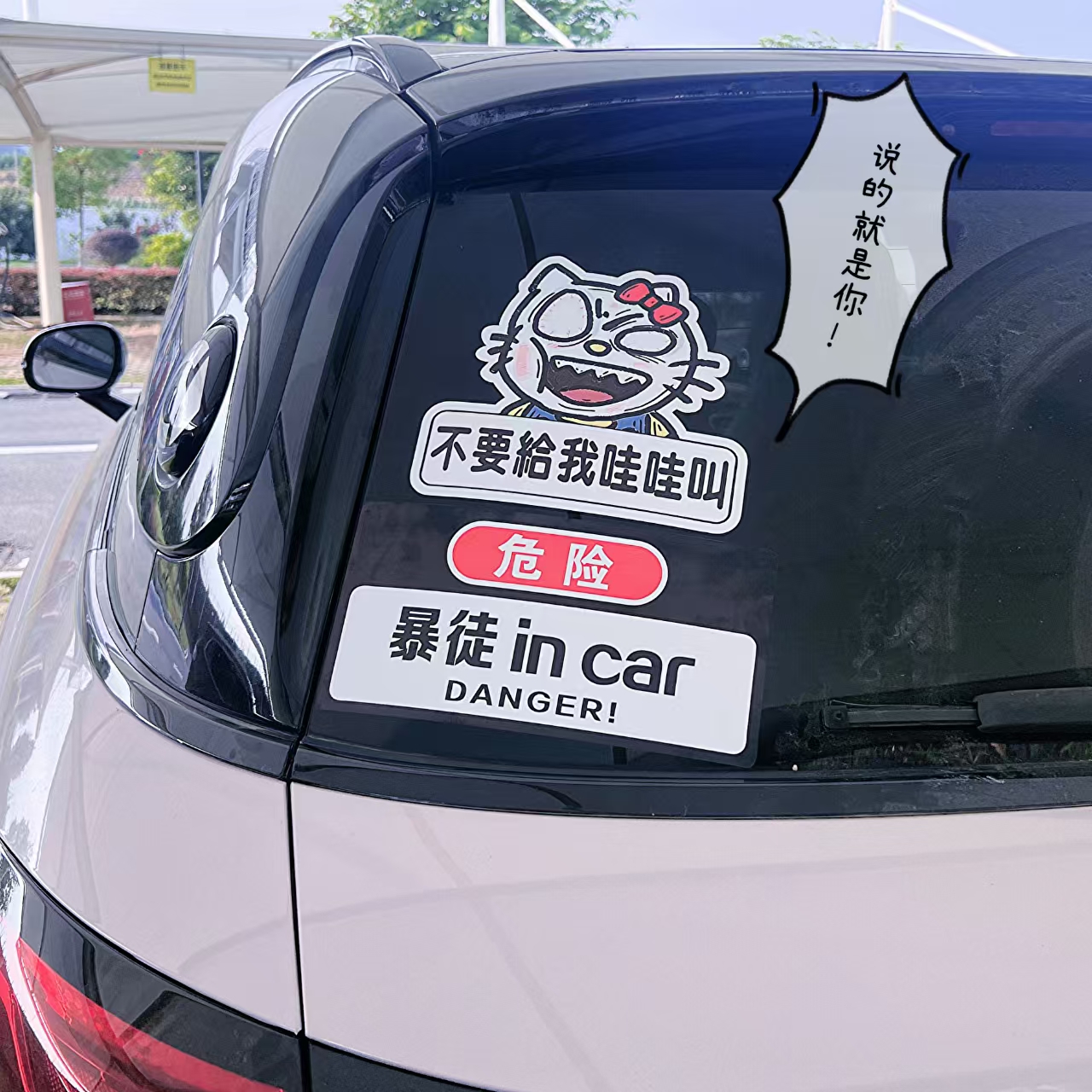 看什么！你不要给我哇哇叫！车贴