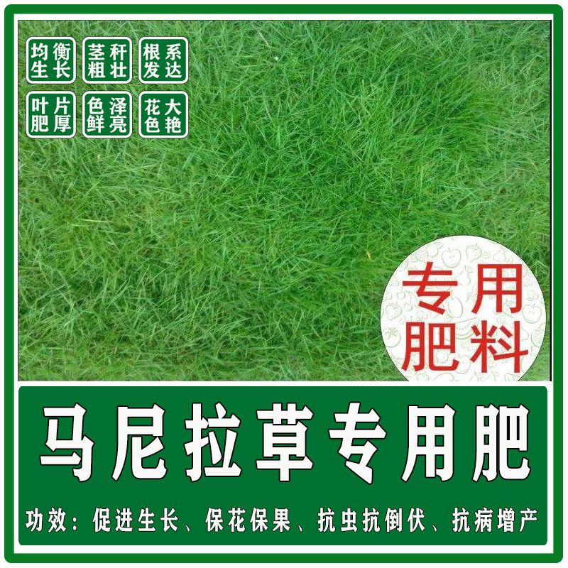 马尼拉草坪高尔夫草坪专用有机肥复合底肥追肥冲施绿叶素粗壮高产