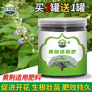 黄荆专用肥开花生根缓释颗粒肥盆栽花卉肥预防叶子发黄掉叶促生根