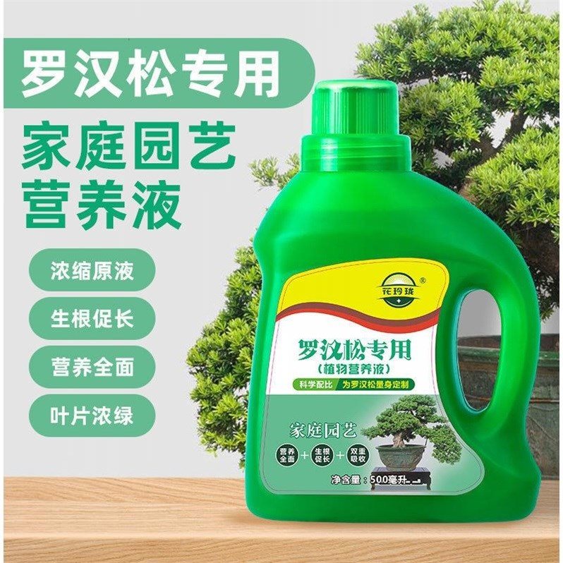 罗汉松专用营养液500ml 土杉、罗汉杉液体肥料促生根营养素