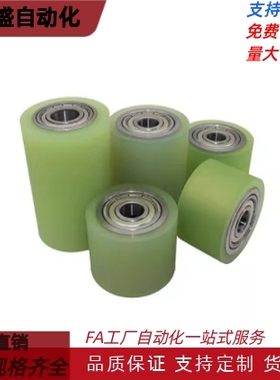 QAF31/32/33/41/42/43-D60-d12 d15 d20-L20 L30L100-T5/T10 滚轮