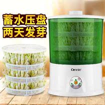 新款豆芽机家用全自动大容量多功能智能生绿豆芽机盆豆芽菜发芽机