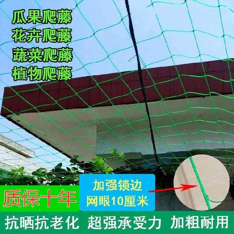 豆角网拉线农业用耐用瓜果爬藤网青瓜西红柿种植网专用靠墙百香果