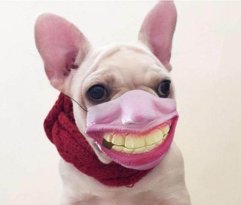 金毛狗嘴巴套子狗用狗狗狗狗嘴罩嘴套嘴罩哈士奇狗吠止吠器狗搞笑