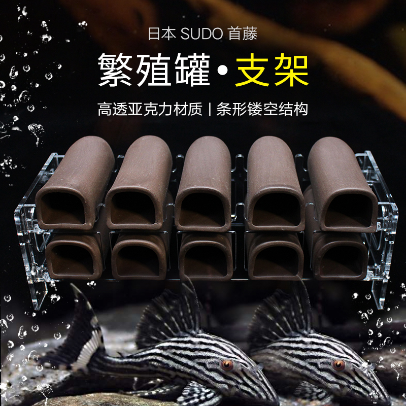 首藤繁殖罐支架亚克力异型鱼陶罐