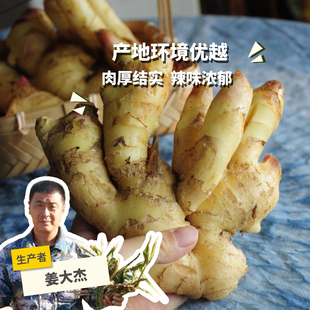 生态蟠桃大姜 1kg/2.5kg 绿手指份额农园