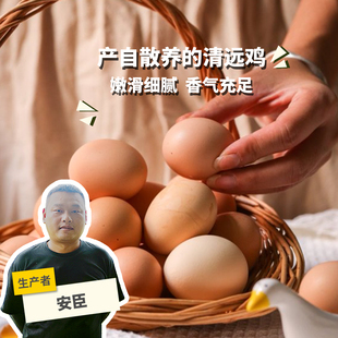 生态初生鸡蛋30枚新鲜孕妇宝宝辅食 绿手指份额农园