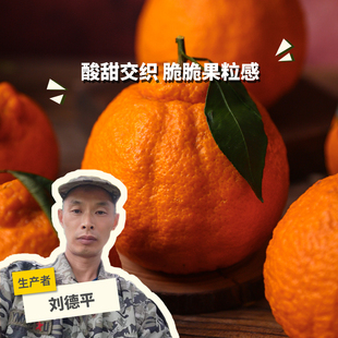 生态丹棱不知火（丑橘偏酸）2.5kg（8-12个果子） 绿手指份额农园