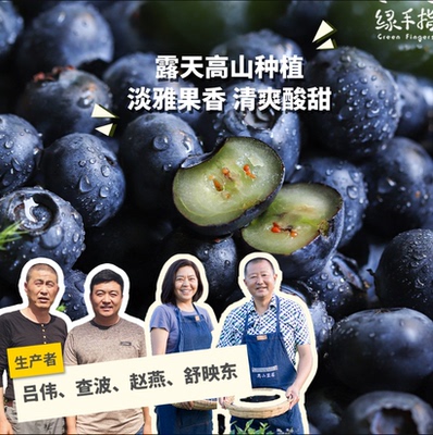 绿手指有机蓝莓花青素现采现发