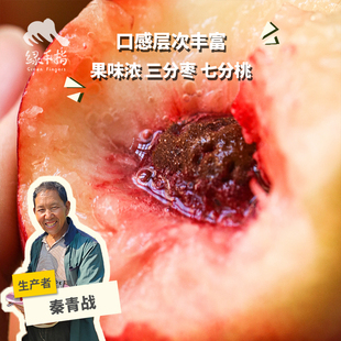 有机珍珠枣油桃 2kg 绿手指份额农园