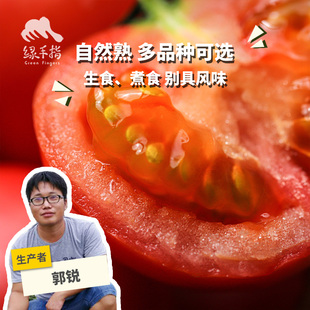 生态西红柿（广州）1.5kg/2.25kg 绿手指份额农园