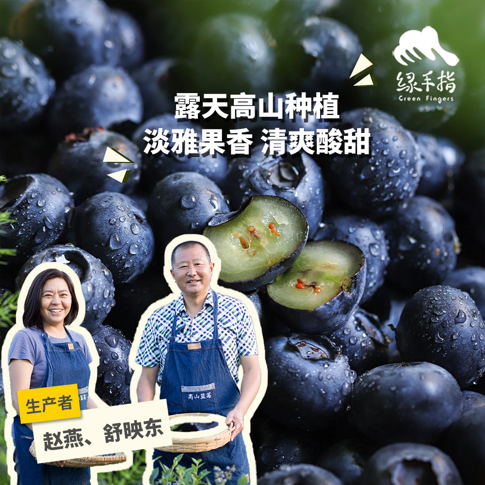 有机蓝莓（云南大理） 500g/750g/1000g 绿手指份额农园