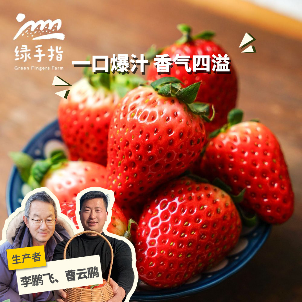 生态草莓 1kg 绿手指份额农园,水产肉类/新鲜蔬果/熟食,草莓,淘宝优惠券,粉丝福利购,淘宝优惠卷