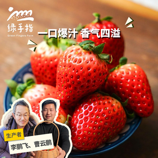 生态草莓 1kg 绿手指份额农园