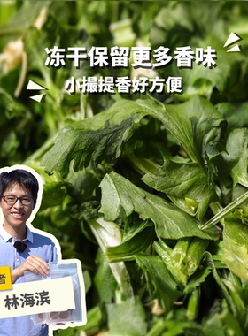 生态冻干香菜干10g/袋 绿手指份额农园