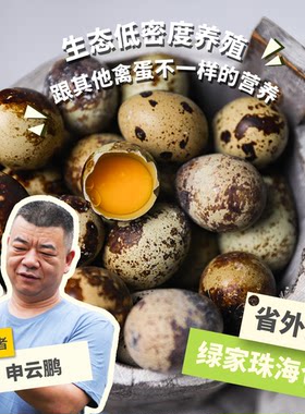 绿手指鹌鹑蛋无激素杂粮喂养