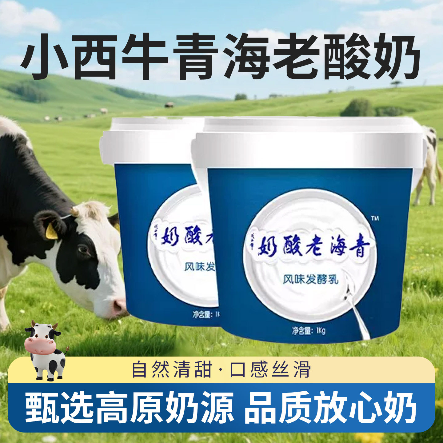 小西牛青海老酸奶原味大桶新鲜