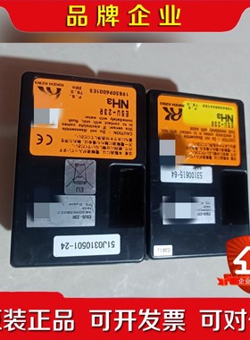 本原装RIKEN理研气体检测仪 ESUS-23E实物图片 议价