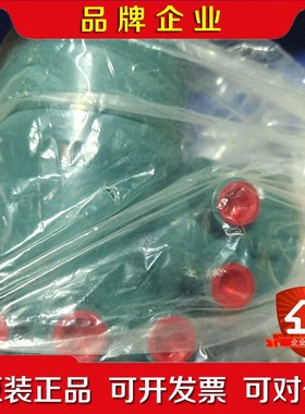 横河流量计分体表头AXW4A-CNF2111JA12CH 议价