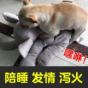 Chó đồ chơi cắn chó con chó con lông cừu đi kèm với đối tác ngủ Teddy pet estrus venting nam chó mèo cung cấp - Mèo / Chó Đồ chơi