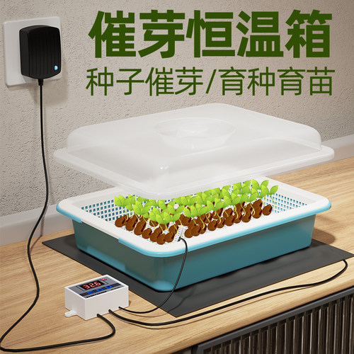 催芽恒温箱种子发芽箱育种育苗