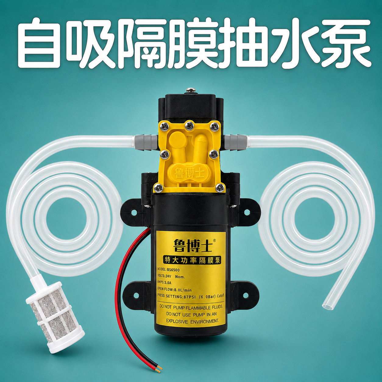 12v24v隔膜泵洗车洗空调高压水泵图片