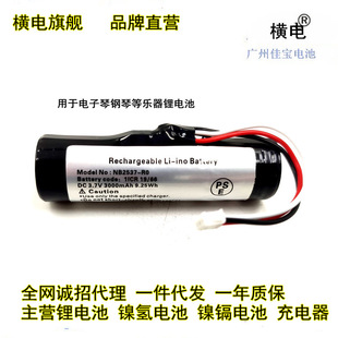 钢琴等乐器锂电池 1600MAH 3.7V电池组电子琴 16650锂电池 18650