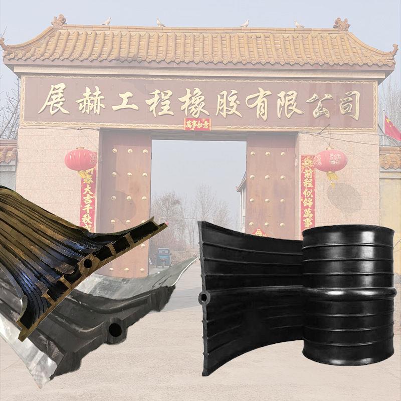 中埋式橡胶止水带型钢边外贴背贴式EVA可卸式pvc塑料止水带ECB