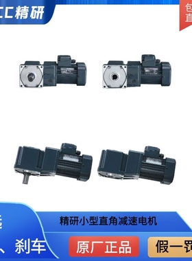 德国精研小型减速电机S250Y22L20V/S370Y38L10RC/S750Y38L36RC
