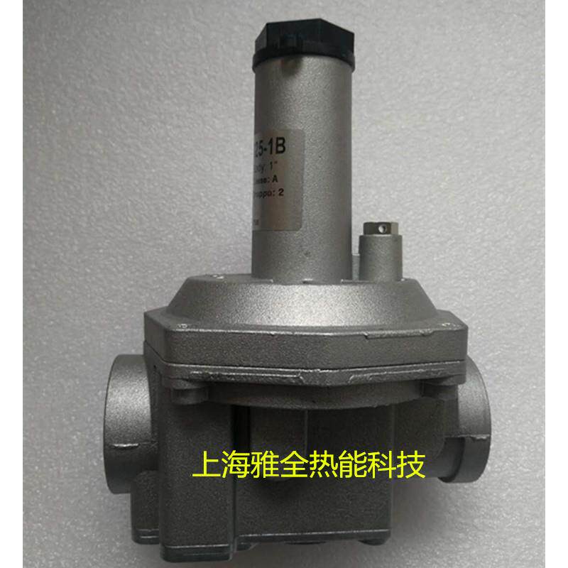 意大利集卡燃气调压阀 减压阀过滤器RG015HC-1B RG020/25HC-1B