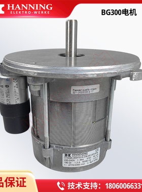 BENTONE BG300/BG400/ST146电机HANNING O1A095-055P0018/017/015