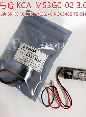 正品雅马哈YAMAHA KCA-M53G0-02 TS-SH RCX340 SR1X RCX240电池